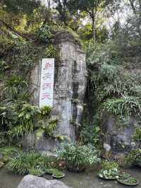 深圳仙湖弘法半日遊,自然療癒與禪意體驗