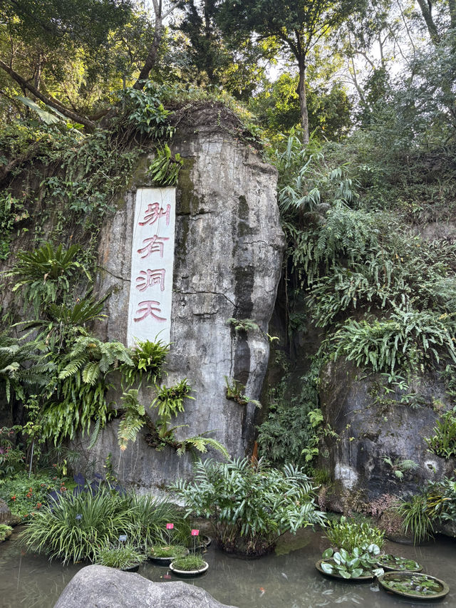 深圳仙湖弘法半日遊,自然療癒與禪意體驗 深圳仙湖弘法半日遊,自然療癒與禪意體驗