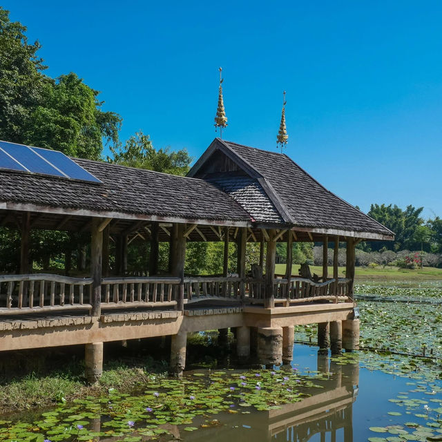 อุทยานศิลปะวัฒนธรรมแม่ฟ้าหลวง อุทยานศิลปะวัฒนธรรมแม่ฟ้าหลวง