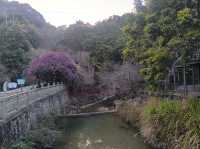 山景露台酒店房間下大,空間感十足,放鬆時刻🏞️