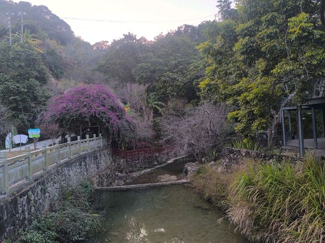 山景露台酒店房間下大,空間感十足,放鬆時刻🏞️