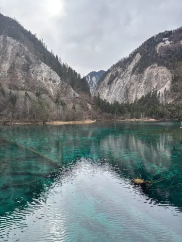 Jiuzhaigou looked so unreal it didn't even feel real ...