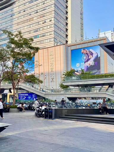 全国ペンションガイド 215地区2500軒最新情報版 華強北（ホアチャンベイ）春の散策ガイド — 賽格広場（SEGプラザ）の