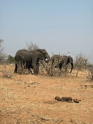 [อุทยานแห่งชาติในแอฟริกาที่ฉันอยากไปเยือนสักวัน]