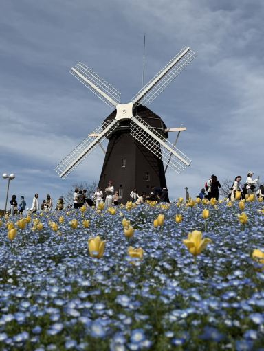 2026 Osaka ] Flower Expo Memorial Park Tsurumi Ryokuchi Travel