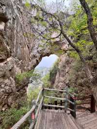 🌲 Yunmeng Mountain Royal Forest Park | A Breath of Nature