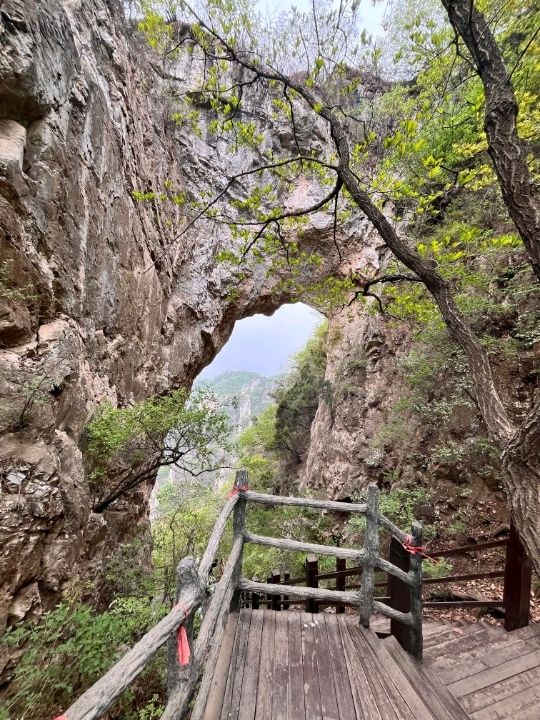 🌲 Yunmeng Mountain Royal Forest Park | A Breath of Nature