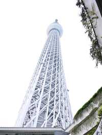 🇯🇵東京新手入門教學！地鐵輕鬆穿梭景點、美食、購物全攻略