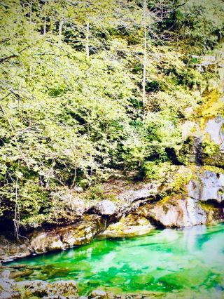 瓦努阿圖安巴島馬納羅湖苔蘚三重火山口森林easytravelpost #安巴島 #馬納羅湖