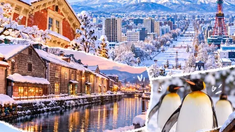 Winter in Hokkaido: A Travel Guide. — traveler post in Sapporo