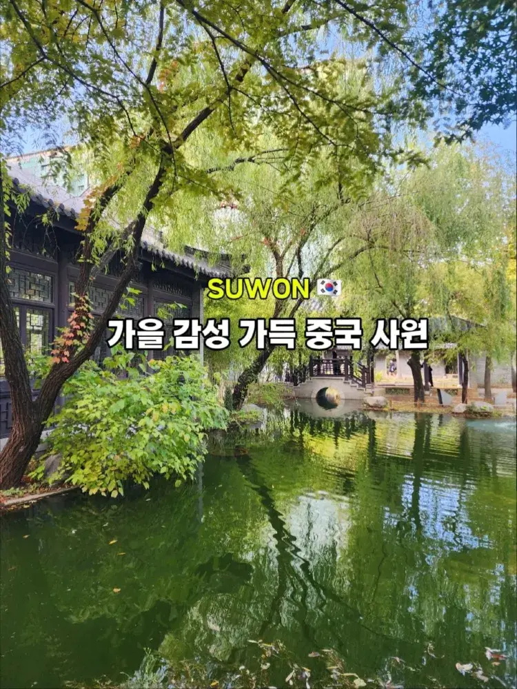 서울에서 1시간이면 도착하는 중국 감성 사원! 🏮 고즈넉한 가을 단풍 명소