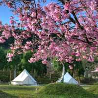 Xiong Glamping in Hsinchu