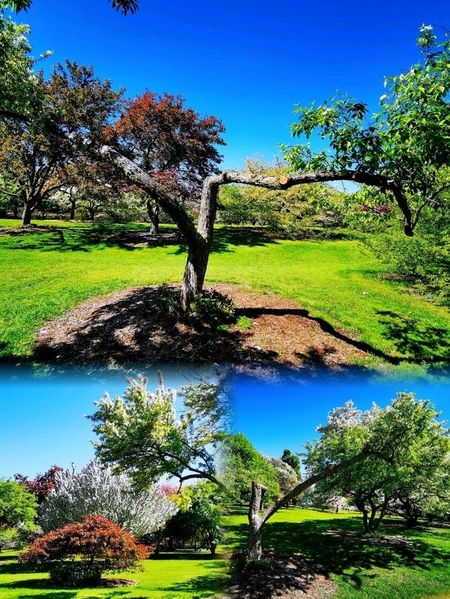 Longenecker horticultural Gardene(朗格內克園藝花園)