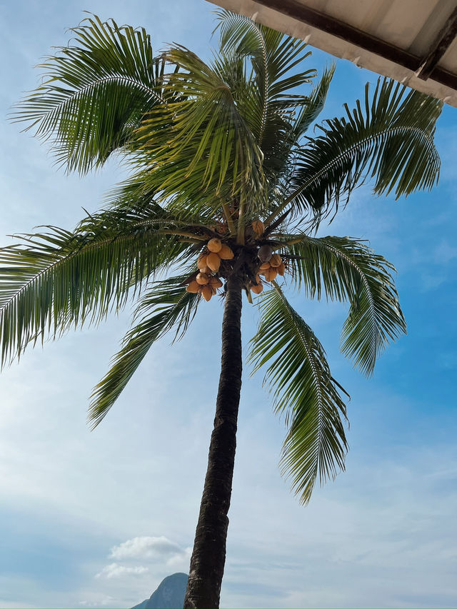 🌴 Paradise Found in El Nido, Philippines 🇵🇭