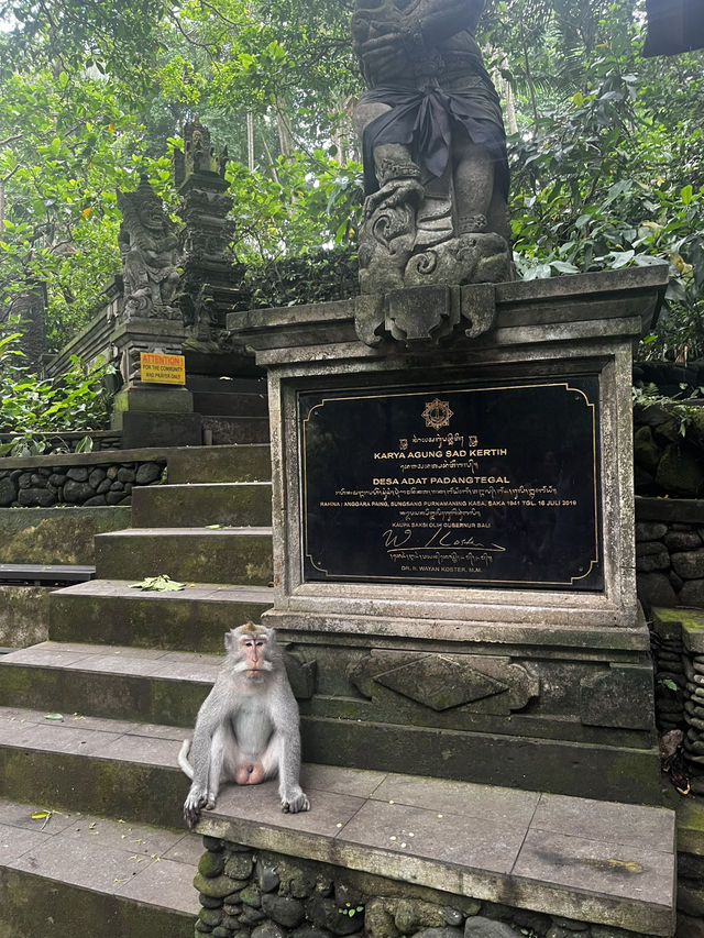 🇮🇩 Ubud, Bali Trip Itinerary