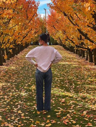 Autumn Drive Adventure: From Queenstown to Christchurch