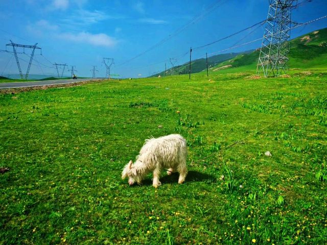 日月山壯麗山脈打卡必去㊙️