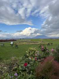 삿포로 5일 여행 포토 스팟