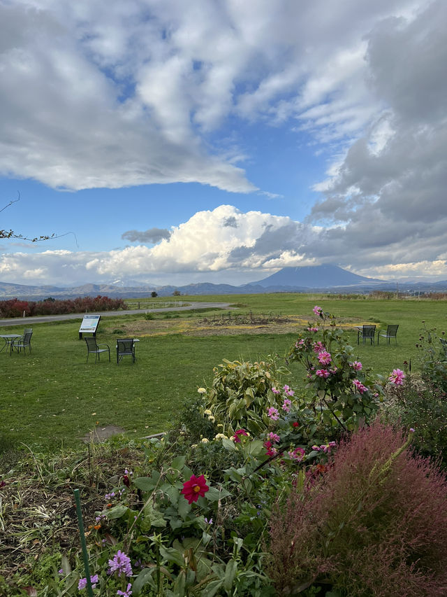 삿포로 5일 여행 포토 스팟 삿포로 5일 여행 포토 스팟