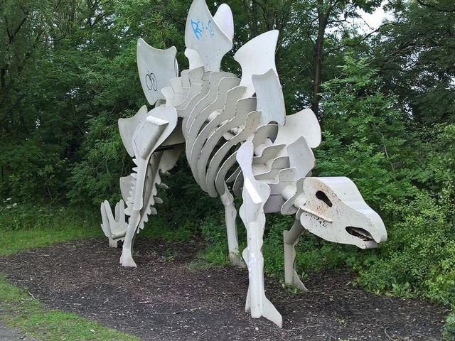 Interesting Teessaurus Park Middlesbrough 🇬🇧