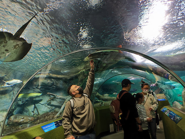 Shanghai Ocean Aquarium