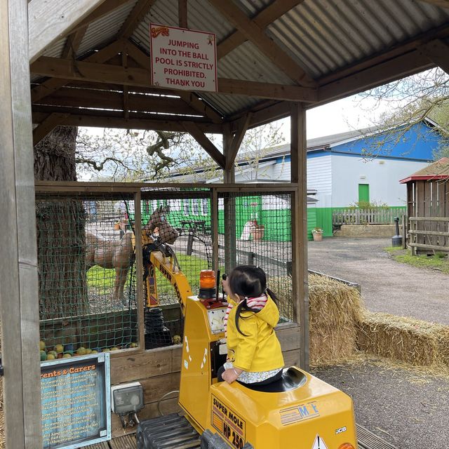 Milton Keynes -Gulliver's Dino & Farm Park