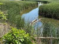 Rattray Marsh Conservation Area 🇨🇦