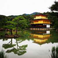 Kyoto's Cherry Blossom Elegance