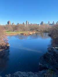 New York's Palette