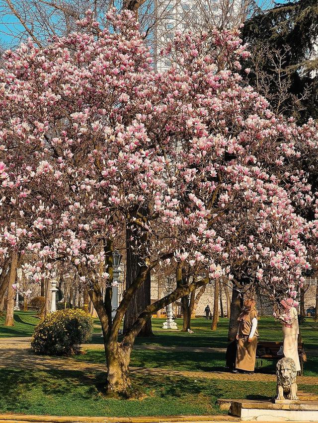 일라푸르 궁전 🌺🌸
