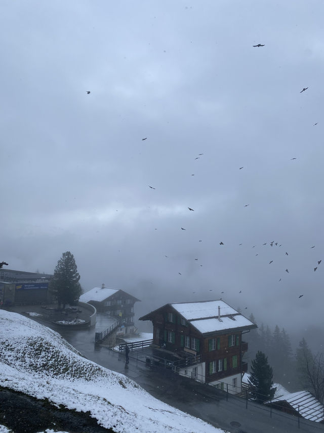 winter wonderland hike in Swiss mountains