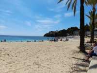 Fun & Food in Mallorca 