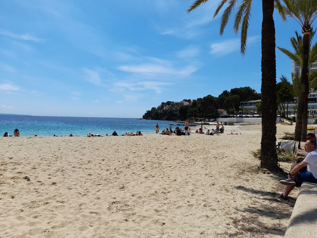 Fun & Food in Mallorca 