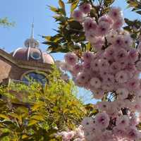 Qinhuangdao 2 Days Travel Guide 