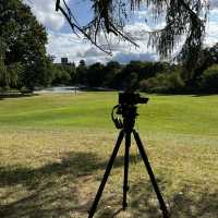 Filming in St Albans!