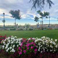 Vibrant Flowers and Clear Skies