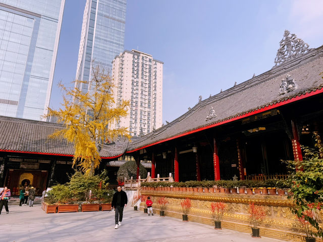 Half-Day Chengdu Itinerary: Taikoo Li, Da Ci Temple, Bian Lian Show & LEGO Flagship