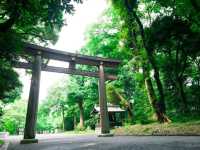 Tokyo strolls: The world's park!