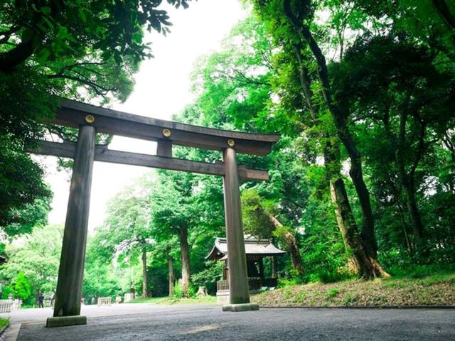 Tokyo strolls: The world's park!