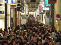 Osaka 2 Days Travel Guide 