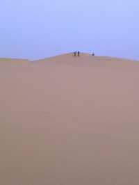 Camel Safari in Jaisalmer: A Journey Through the Thar Desert