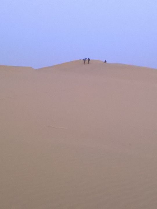 Camel Safari in Jaisalmer: A Journey Through the Thar Desert