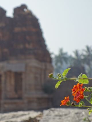 Shri Achyutaraaya Swamy Temple, Hampi: A Hidden Gem of Heritage