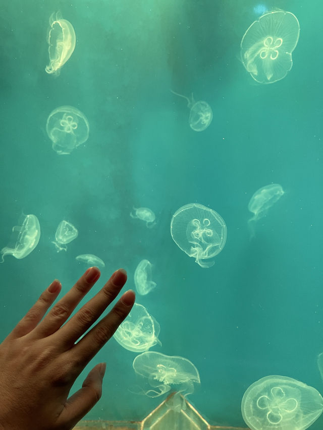 Primorsky Oceanarium