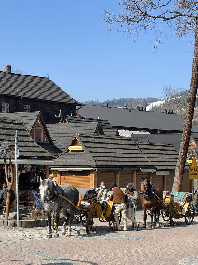 🇵🇱 波蘭札科帕內（Zakopane） 🏞️