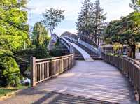 昭和沼公園