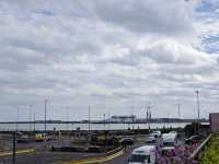 Standing at the Edge of England: The Majestic White Cliffs of Dover