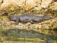 Chitwan National Park