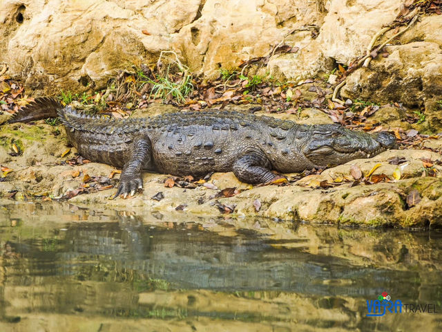 Chitwan National Park