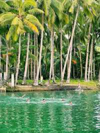 Have you tried eating a buffet while cruising in a Jungle River?